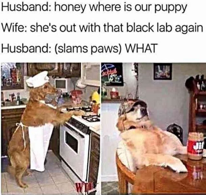 Funny Fathers Day Memes