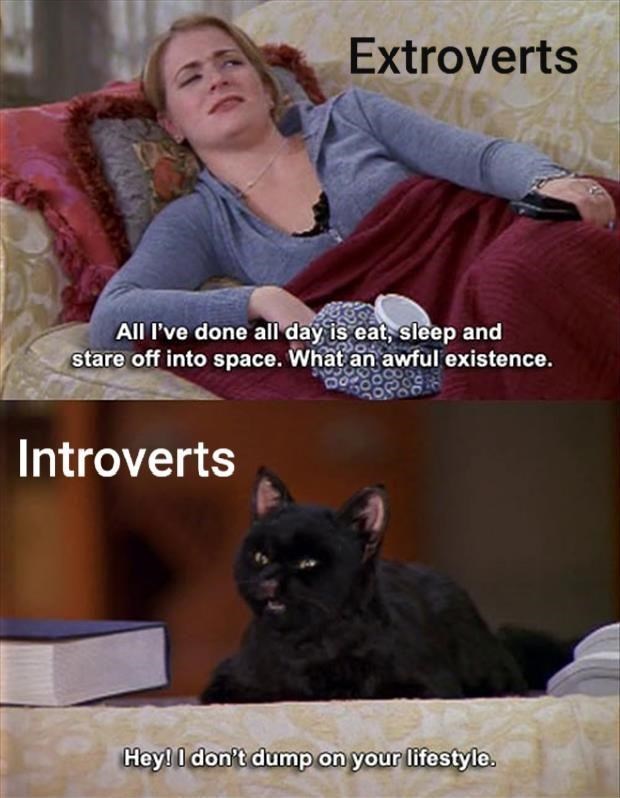 introvert vs extrovert