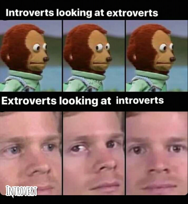 introvert vs extrovert