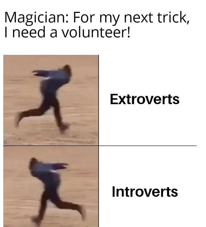 introvert vs extrovert