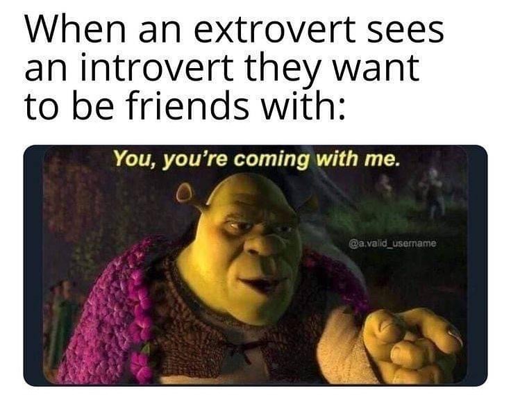 introvert vs extrovert