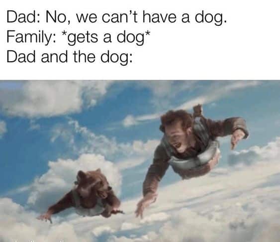 Funny father's day memes