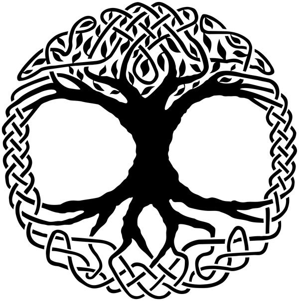 Celtic Personality Trait Play This Mystical Tree of Life Quiz