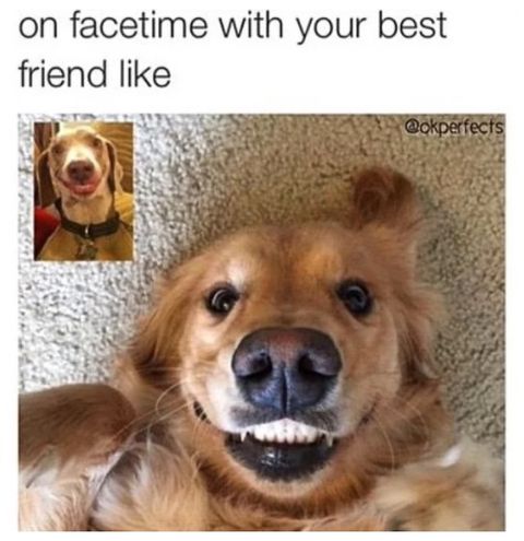 friendship memes