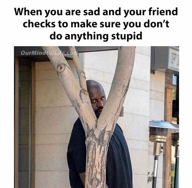 friendship memes