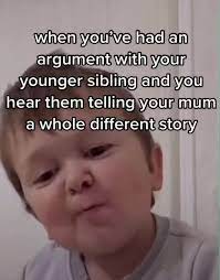 siblings day memes