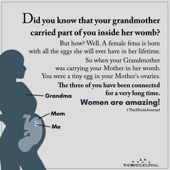 Did You Know That Your Grandmother Carried Part Of You Inside Her Womb