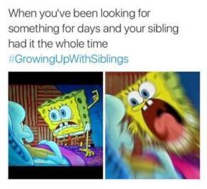 siblings day memes