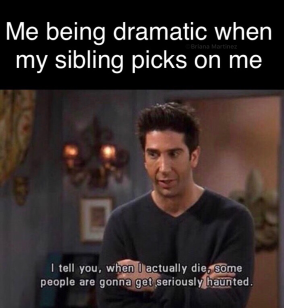 siblings day memes