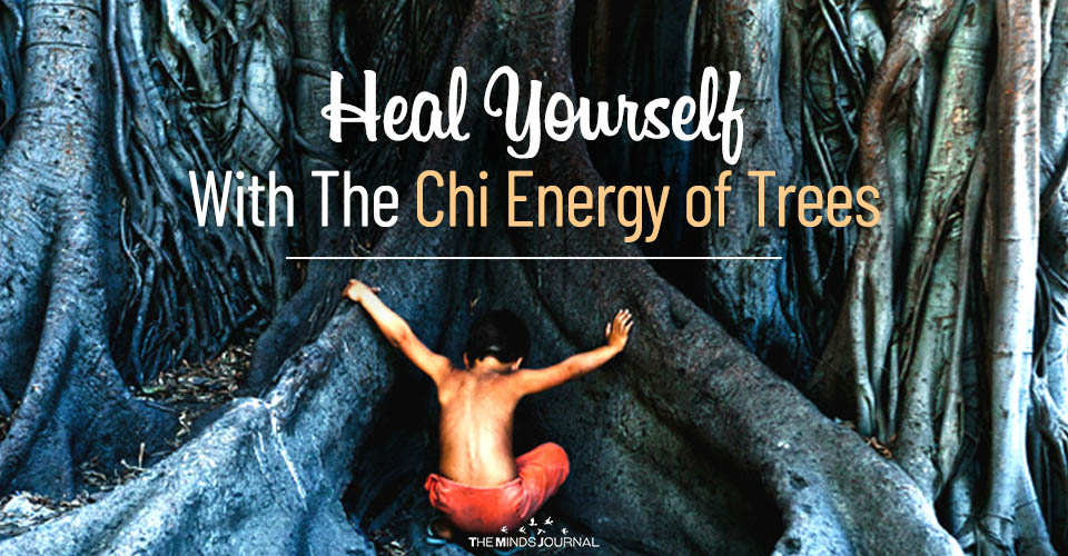 Heal Yourself With The Chi Energy of Trees According to Taoist Masters