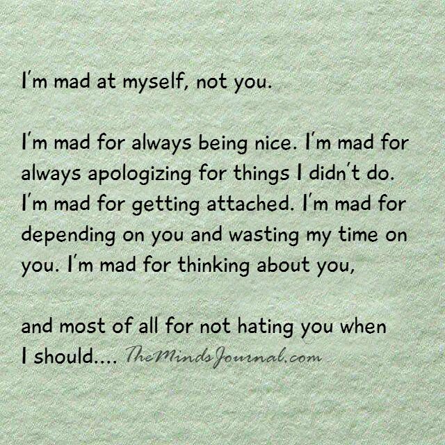 I am mad at myself, not you