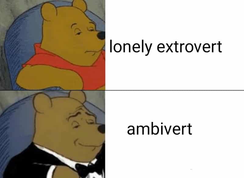 ambivert memes