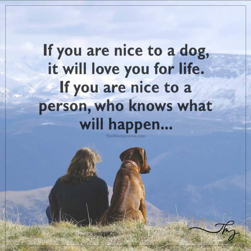 If You Are Nice To A Dog