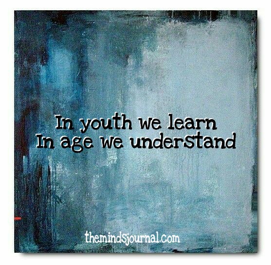 In youth we learn, in age we understand