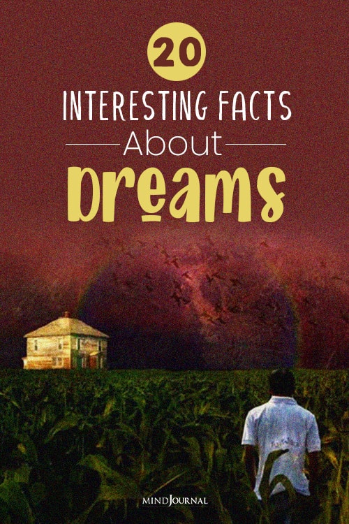 interesting facts about dreams pin