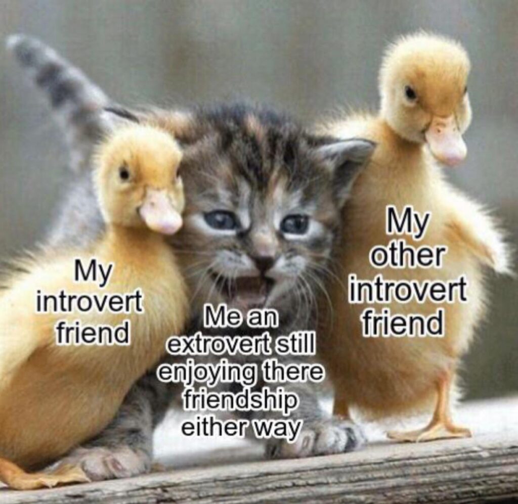 introvert vs extrovert