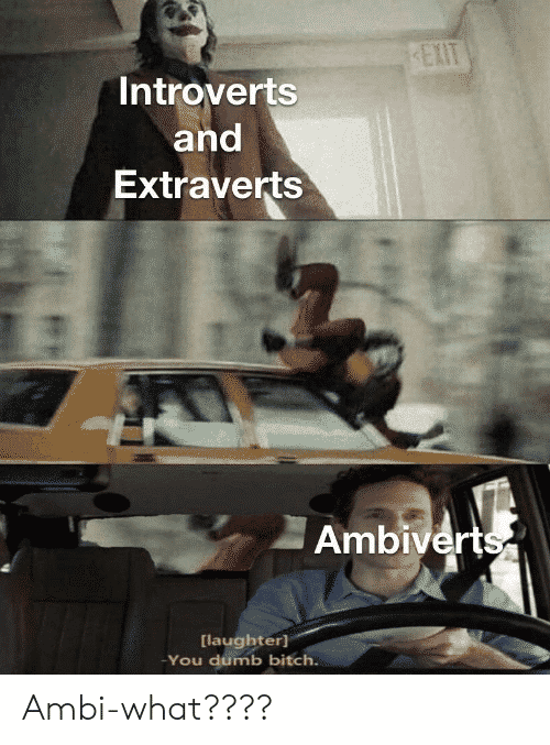 ambivert memes