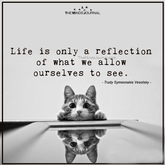 Life is only a reflection of