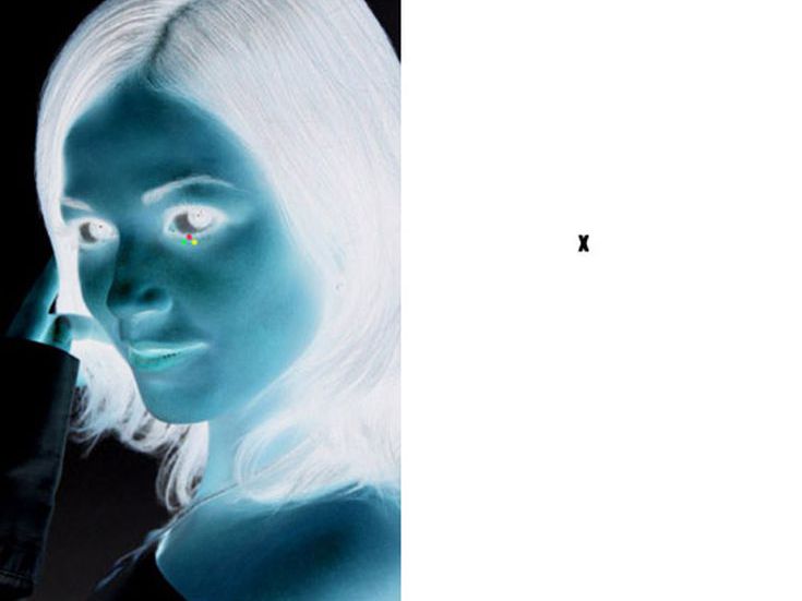 amazing optical illusions