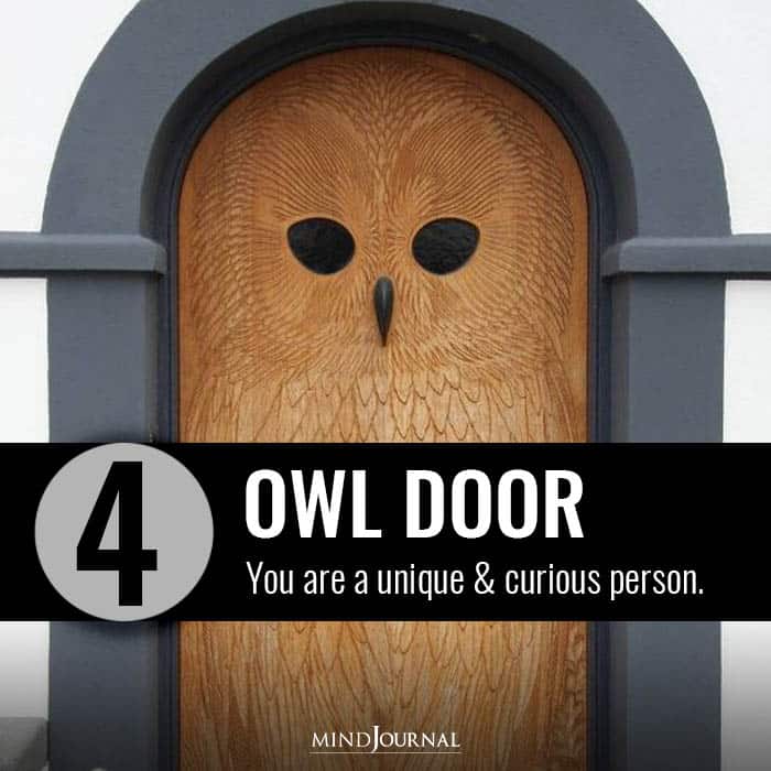 owl door