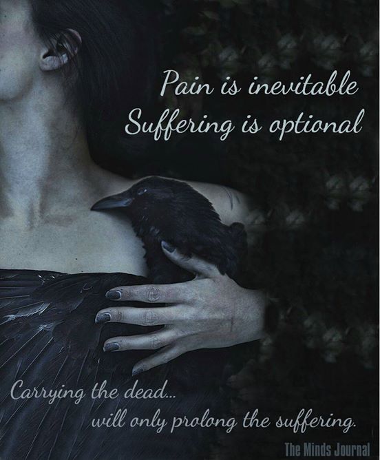 Pain Is Inevitable, Suffering Is Optional