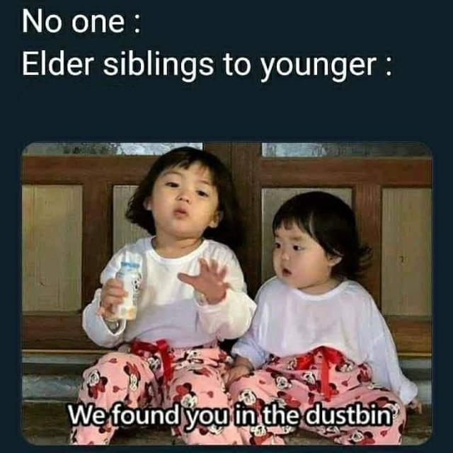 siblings day memes