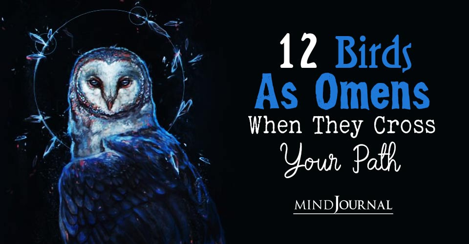 12 Birds As Omens When They Cross Your Path