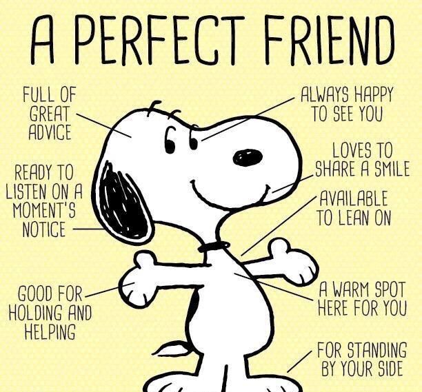 snoopy quotes