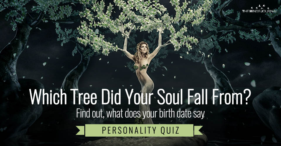 Which Tree Did Your Soul Fall From? Find out, what does your birth date say