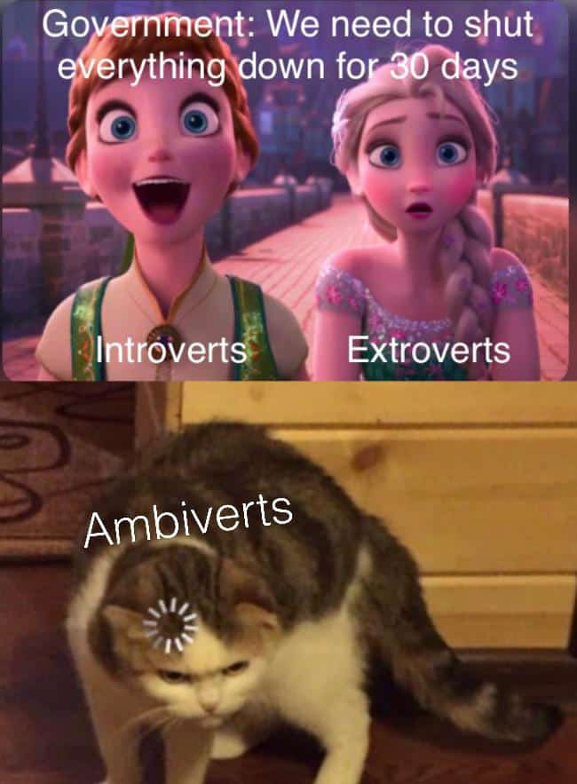 ambivert memes