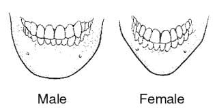 what your teeth say about you