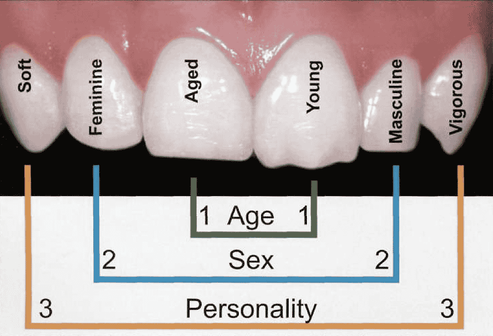 what your teeth say about you