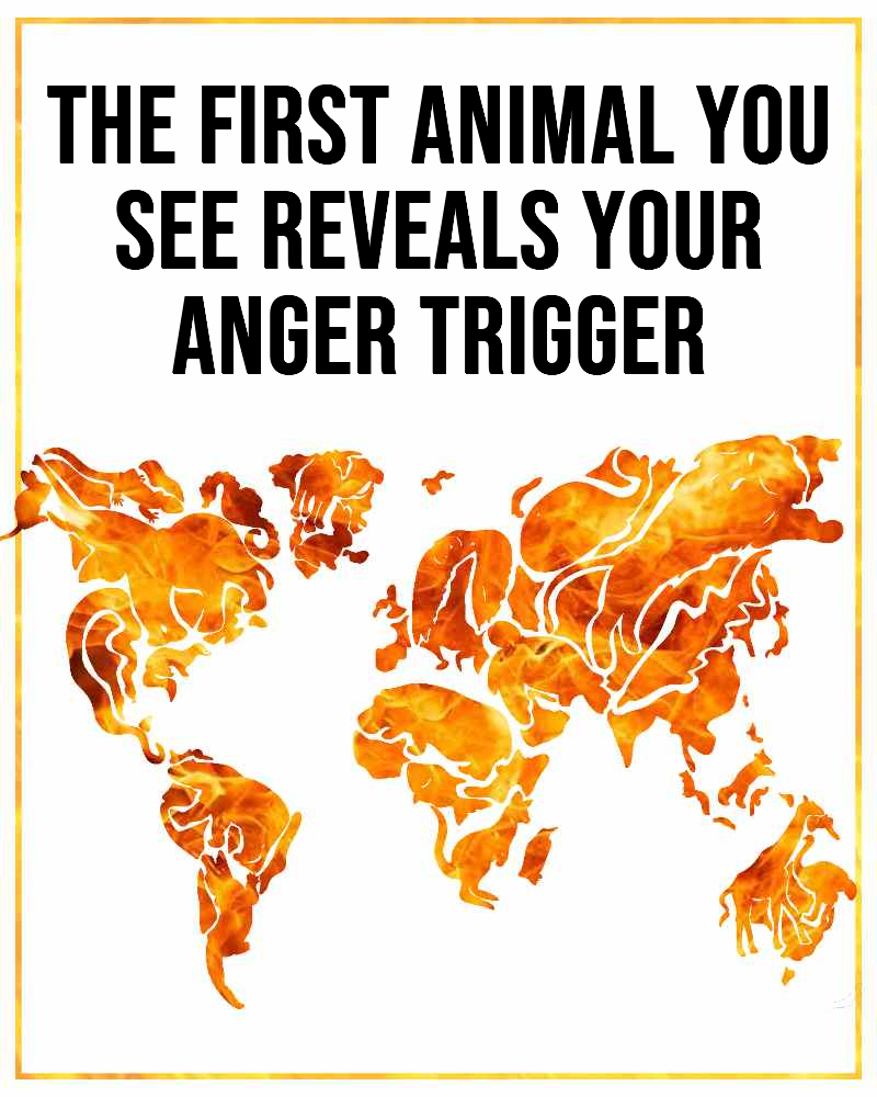 animal you see first - personality test