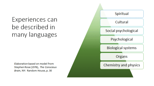 the pyramid of perspectives