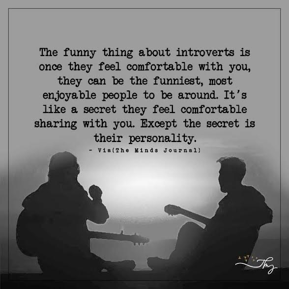 funny things about introverts