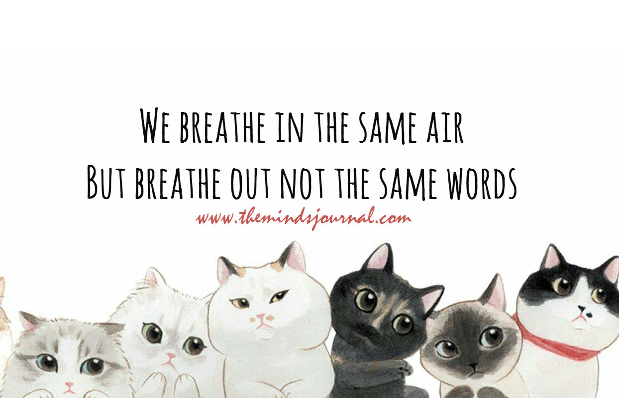 We Breathe In The Same Air