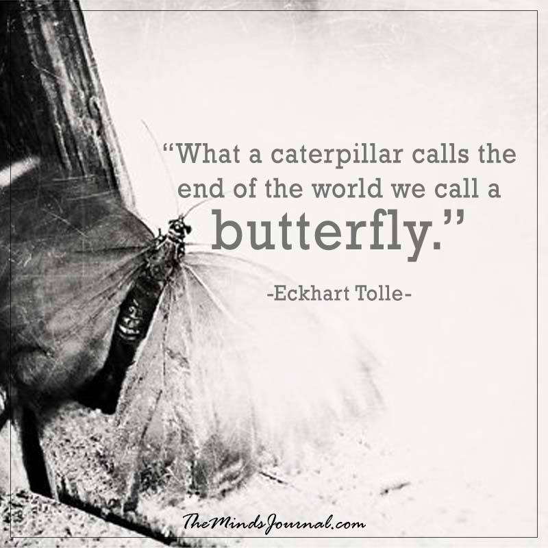 What a caterpiller calls the end of the world we call a butterfly