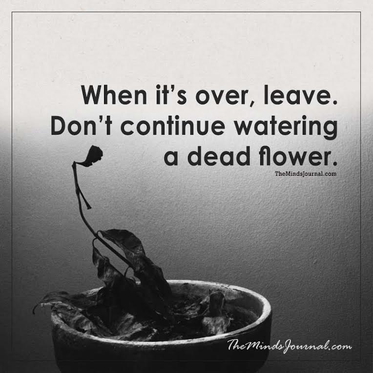 When It’s Over, Leave