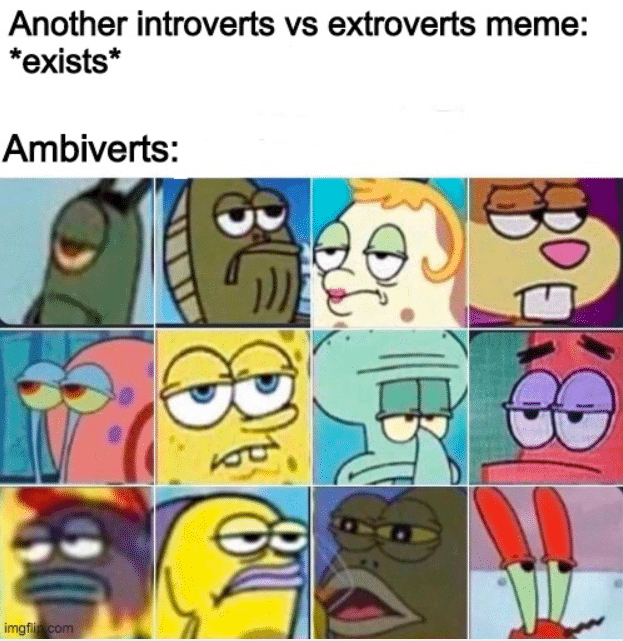 ambivert memes