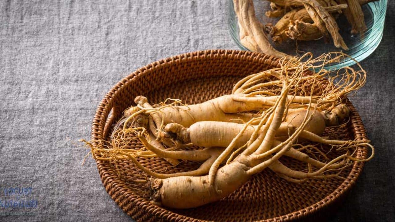 Herbs for brain -  Ginseng