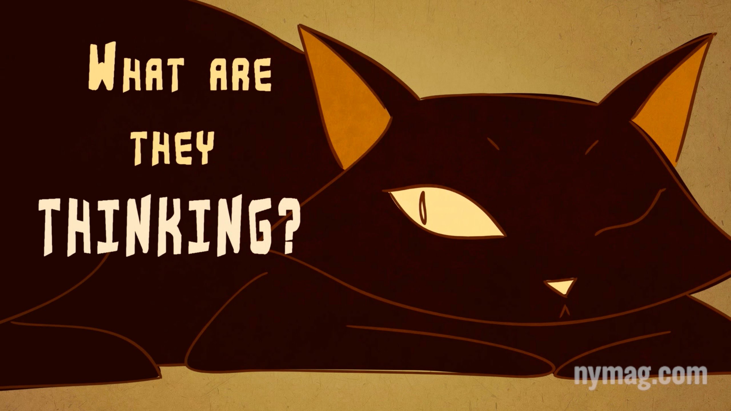 Your Cat Is Talking To You: “The Science of Us”  – MIND VIDEO