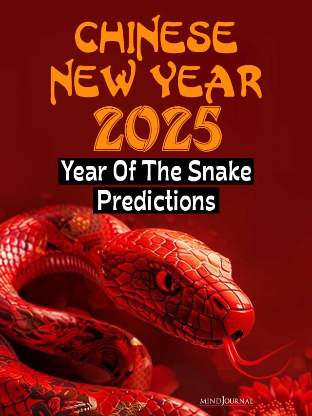 Chinese New Year Year of the Snake Predictions ws cover