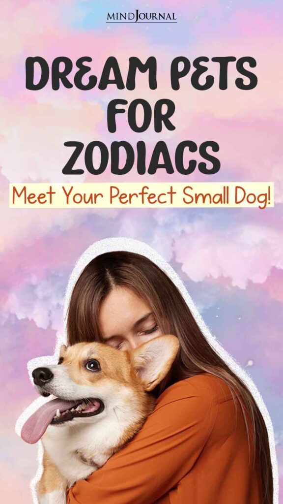 Dream Pets For Zodiacs Meet Your Perfect Small Dog
