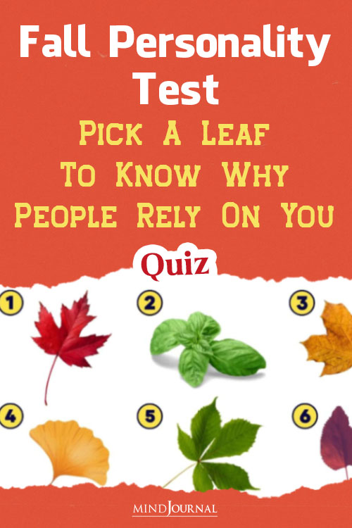 choose a leaf