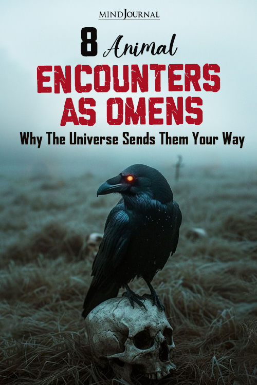animals as omens
