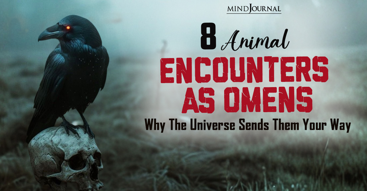 8 Weird Animal Encounters: Check The Animals As Omens Signs