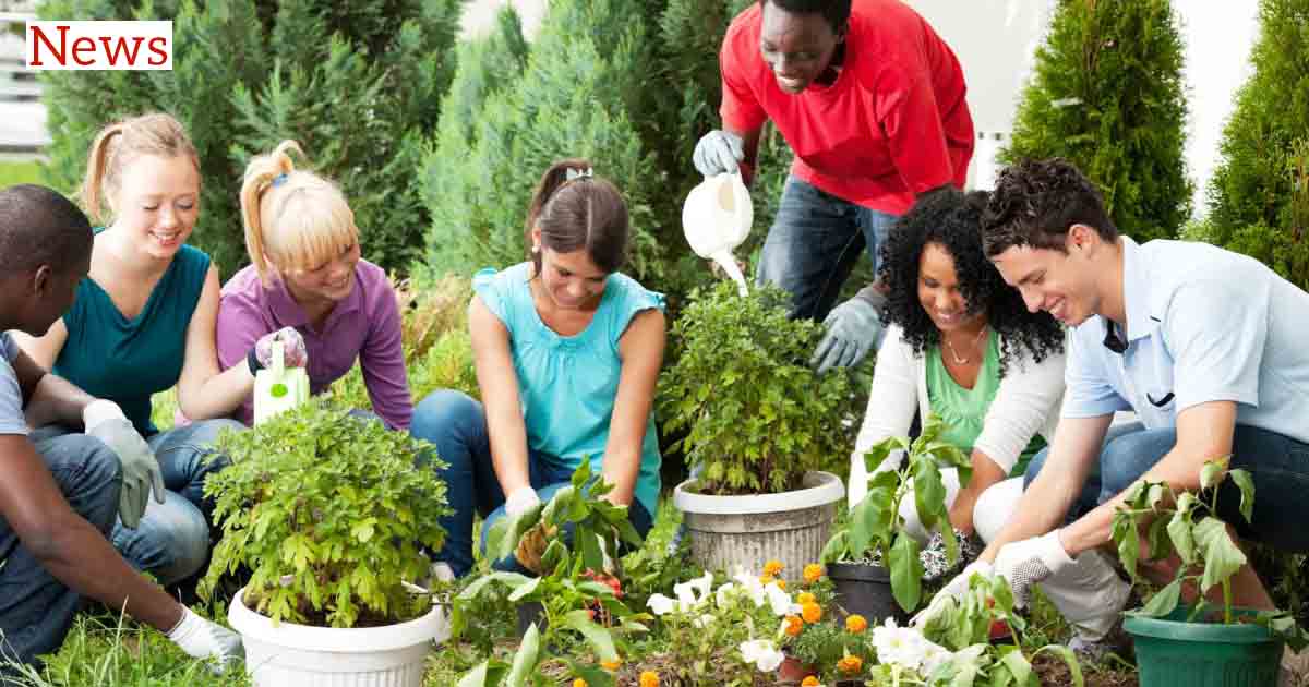Community Gardening Builds Health and Social Bonds