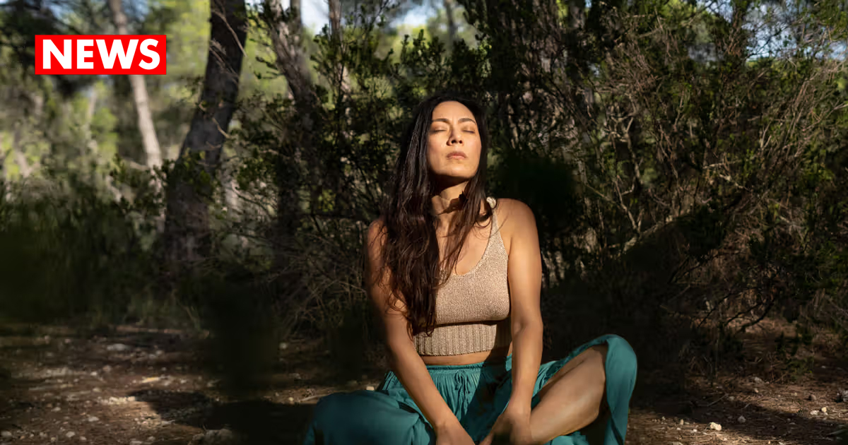 Forest Bathing Benefits Mental Health Through Nature Immersion