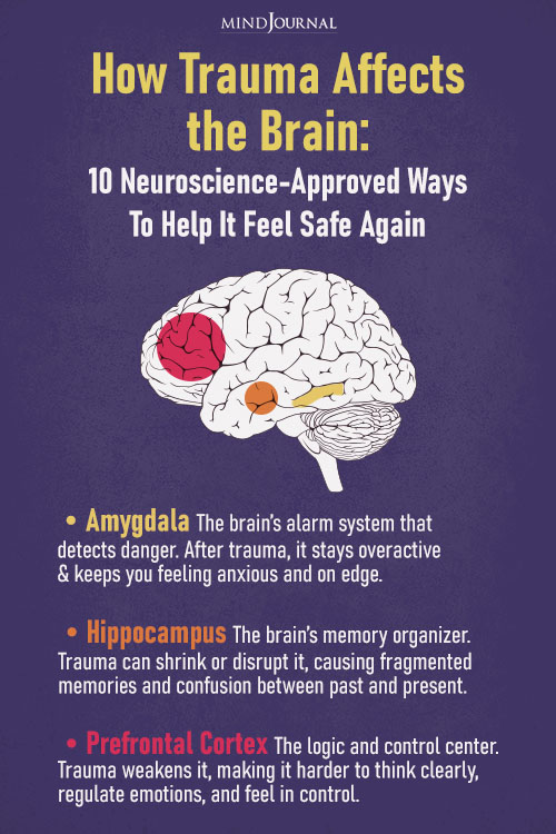 effects of trauma on the brain