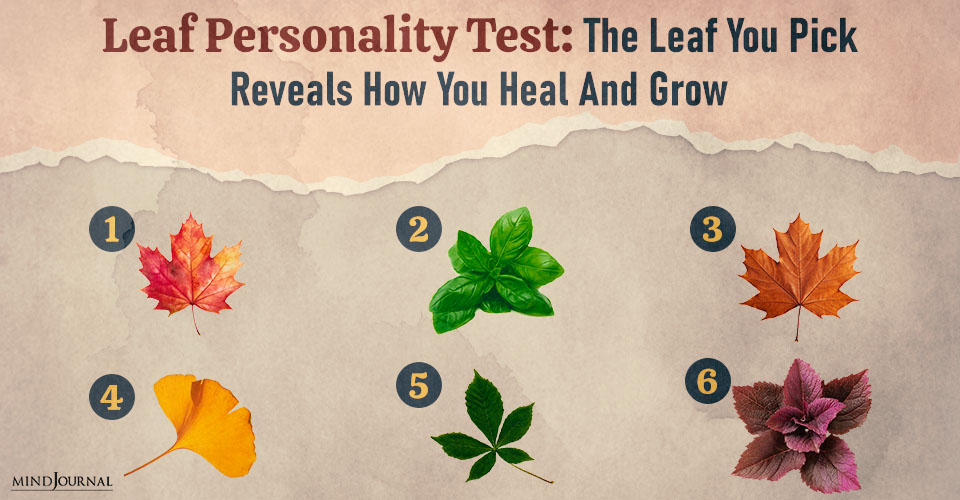 Leaf Personality Test: How You Heal and Transform